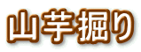 �R���@��
